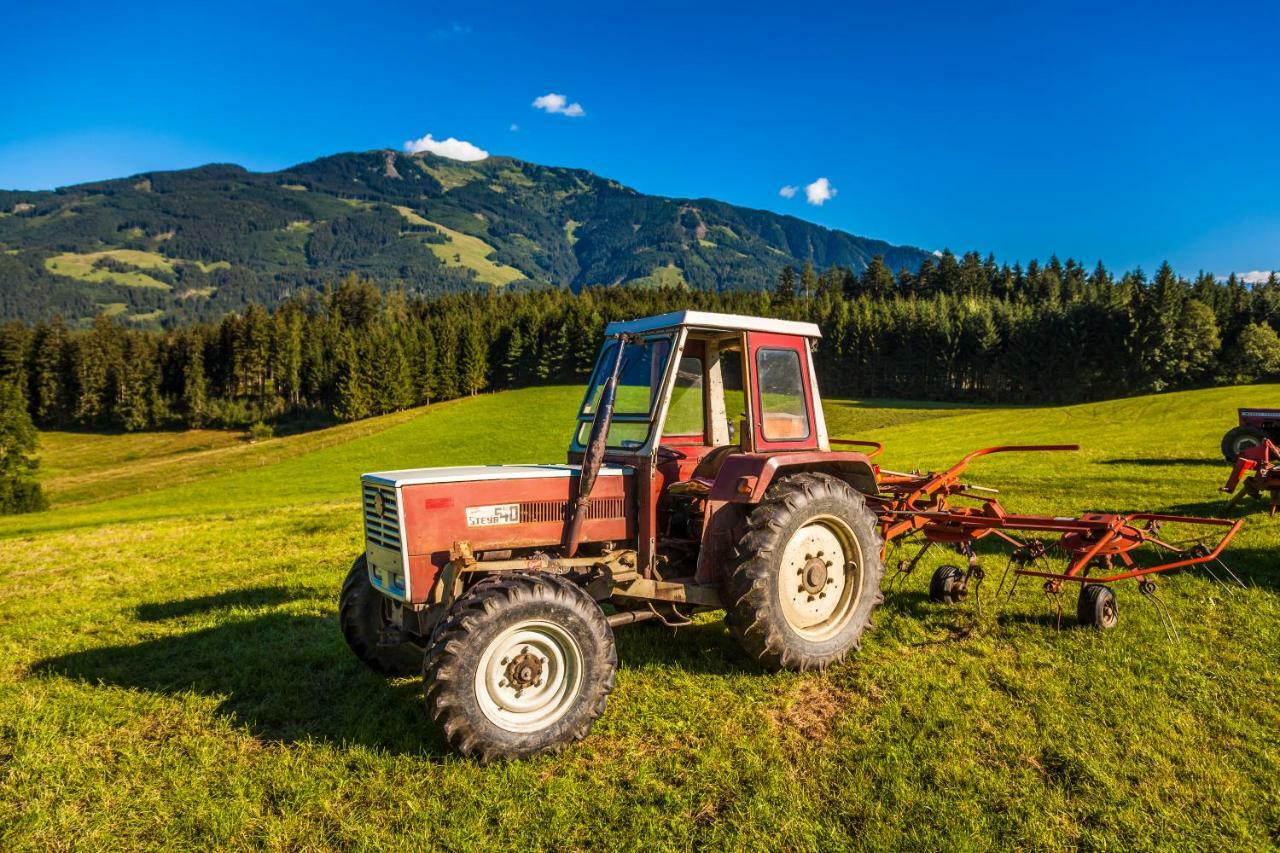 Oberstockinghof Hotel Saalfelden am Steinernen Meer Kültér fotó