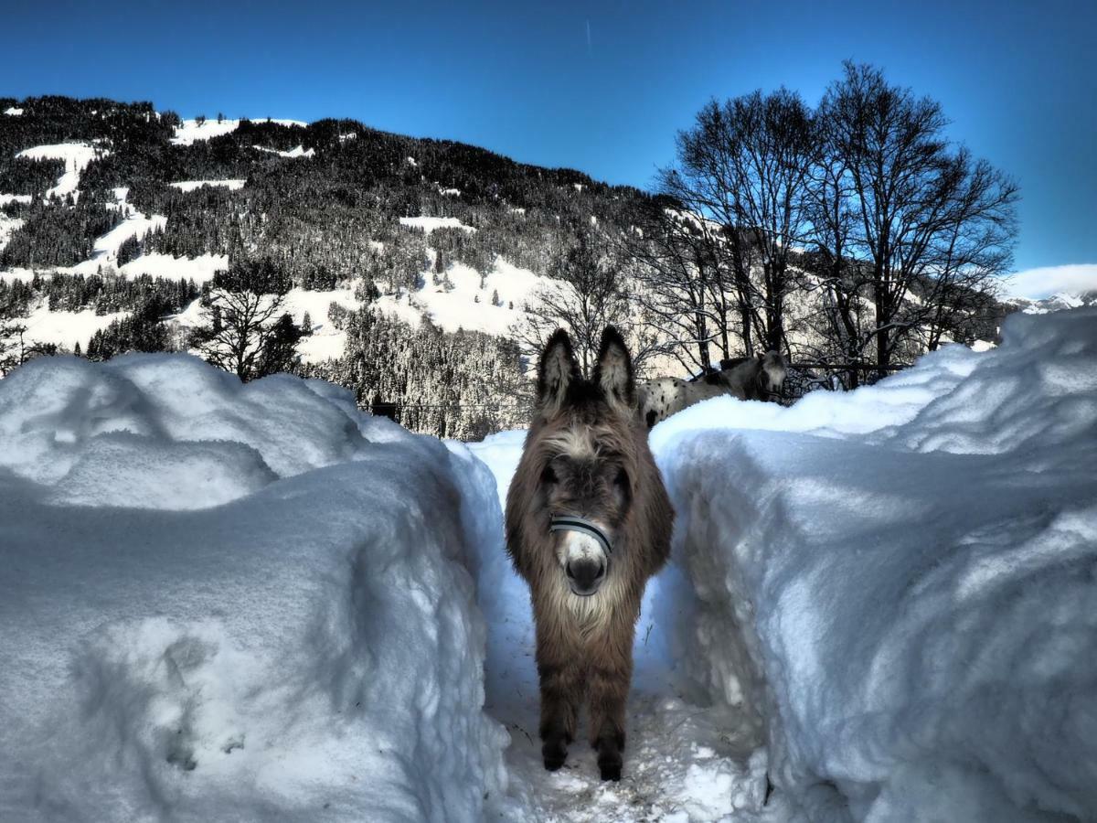 Oberstockinghof Hotel Saalfelden am Steinernen Meer Kültér fotó